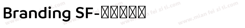 Branding SF字体转换